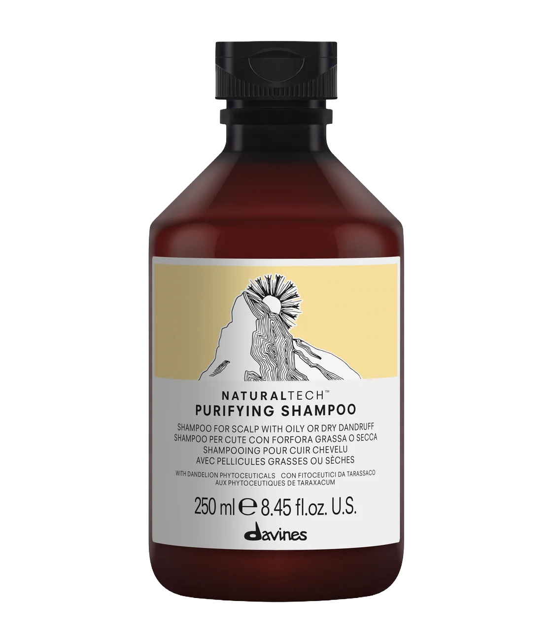 Davines Purifying Shampoo (Šampūnas nuo pleiskanų pH 4.9)